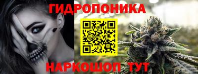 прущие грибы Братск
