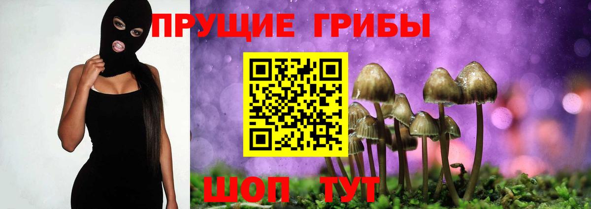 Галлюциногенные грибы мицелий  Вход с VPN  Новороссийск 